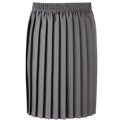 Skirt - Grey, Pleated Style