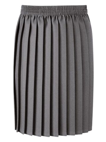 Skirt - Grey, Pleated Style