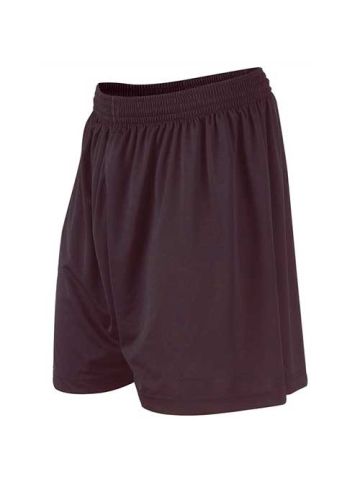 Elm Grove Training Shorts